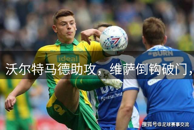 沃尔特马德助攻，维萨倒钩破门，纽卡2-0